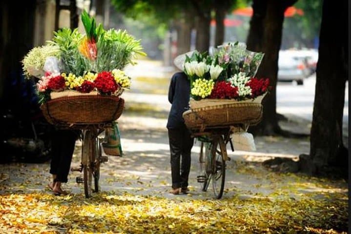 Hanoi Early Morning Market Tour: Quang Ba Flowers, Long Bien Bridge & Dong Xuan Market