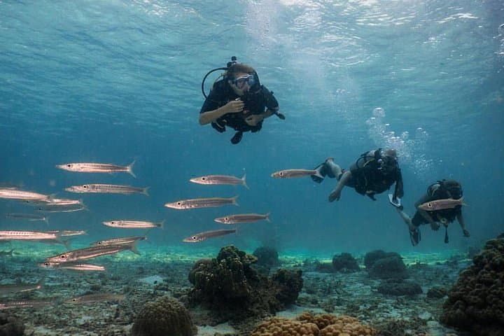 Koh Lanta PADI Discover Scuba Diving: Full-Day Intro Dives to Koh Haa & Bida Islands photo 4