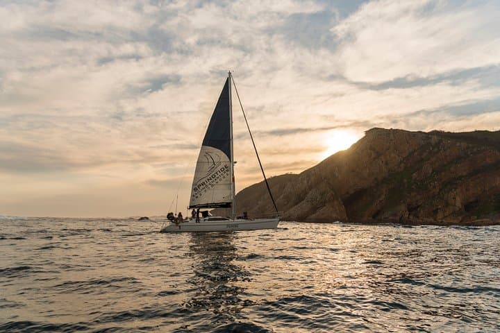 Knysna Sunset Sailing Cruise — Champagne & Coastal Views from Knysna Waterfront photo 4