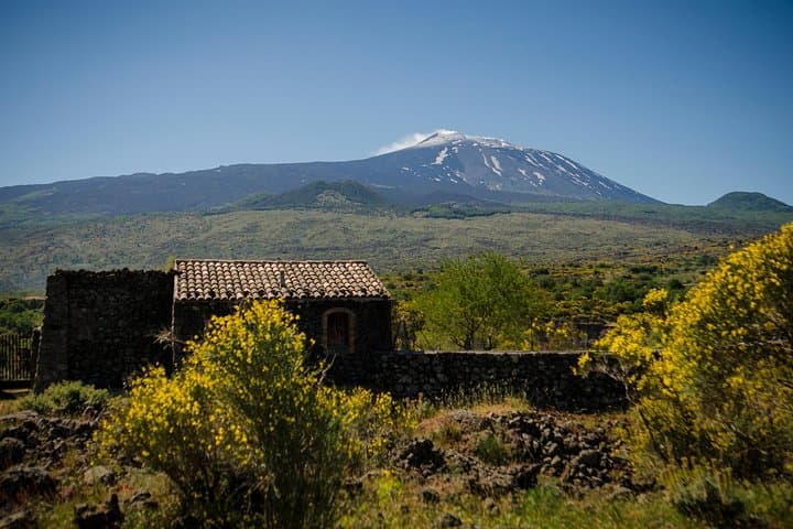 Alcantara Gorges, Randazzo & Etna Wine Tasting Day Trip from Taormina