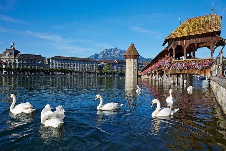 Lucerne Day Trip from Zurich — Lake Lucerne Cruise & City Highlights photo 3