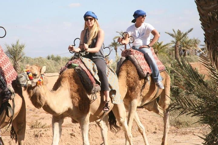 Sunset Camel Ride in Marrakech's Palmeraie: Dromedary Tour & Mint Tea photo 2