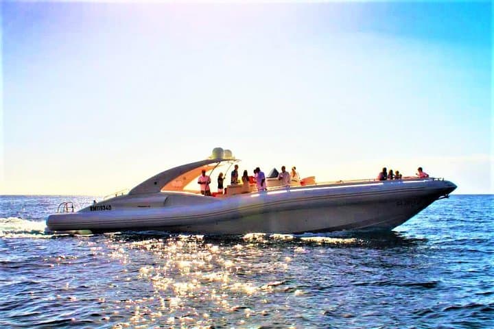 3-Hour Luxury RIB Whale and Dolphin Cruise from Tenerife (Lunch & Snorkel) photo 4