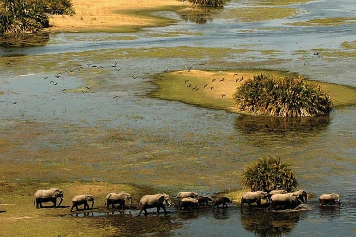 3-Day Chobe National Park Camping Safari: Boat Cruise & Game Drives from Victoria Falls photo 2