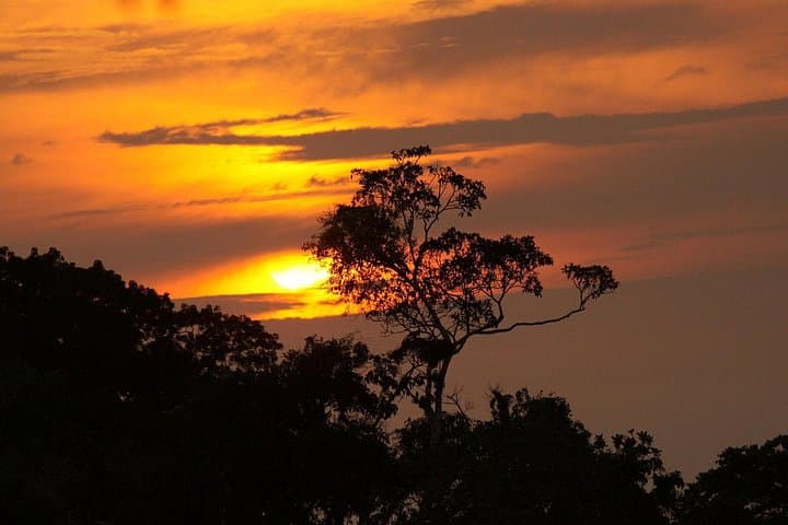 5-Day Cuyabeno & Papallacta Amazon Adventure: Canoes, Community & Hot Springs photo 6