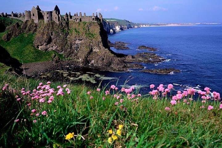 Giant's Causeway & Carrick-a-Rede: Private Game of Thrones Coast Tour from Belfast photo 2