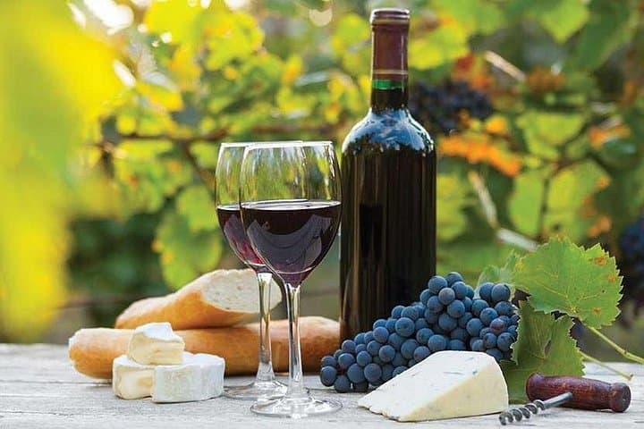 5-Day Cape Winelands and Garden Route Private Tour — Wines, Caves & Coastline photo 4