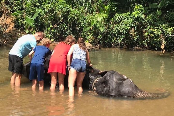 Colombo Shore Excursions: Full-Day City, Beach & Ruins Tour photo 4