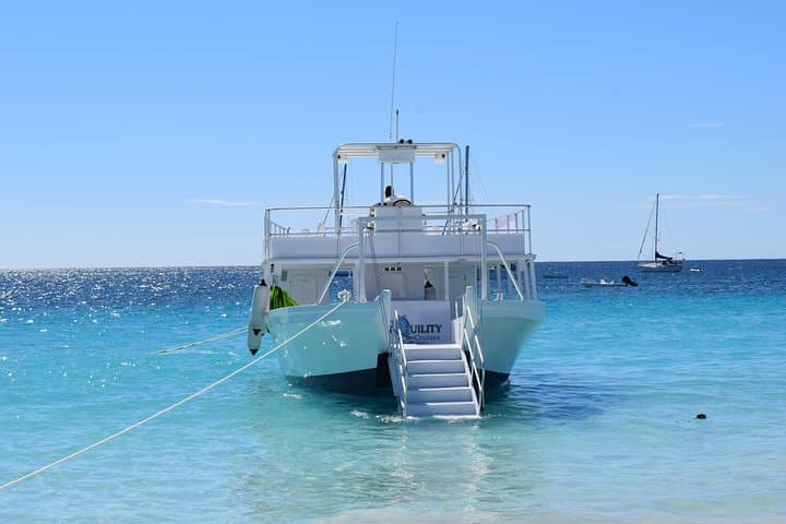 Barbados Carlisle Bay Beach Day & Turtle + Shipwreck Snorkel Cruise photo 6