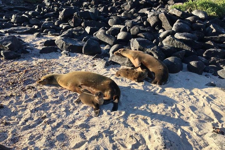 8-Day Galapagos Multisport: San Cristobal, Isabela & Santa Cruz Adventure photo 6