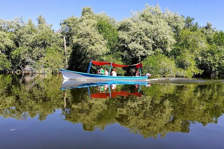Acapulco Lagoon Boat, Beach Horseback & Turtle Release — Day Tour photo 2
