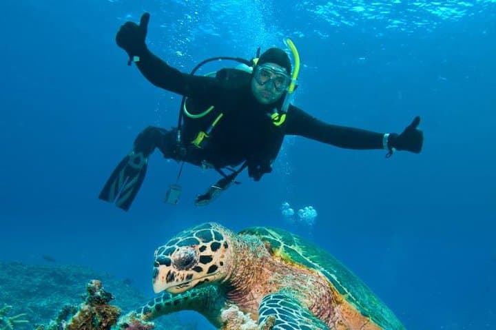 Caribbean Wrecks and Reefs: St Maarten Scuba Diving for Certified Divers