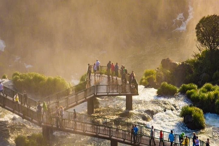 Iguassu Falls Brazilian Side: Full-Day Bird Park, Trails & Macuco Safari photo 2