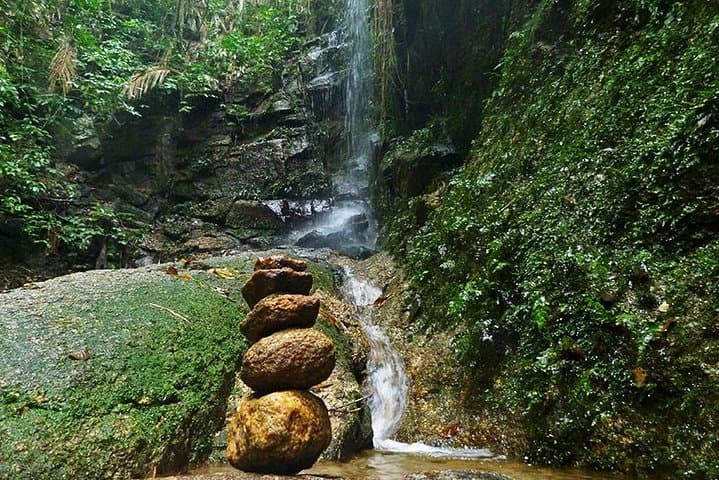 Tijuca Forest Hiking Tour: Waterfalls, History & City Views