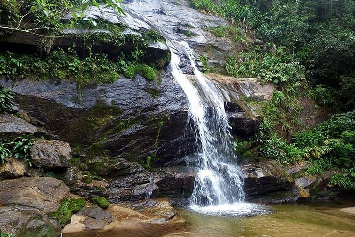 Tijuca Forest Hiking Tour: Waterfalls, History & City Views photo 2