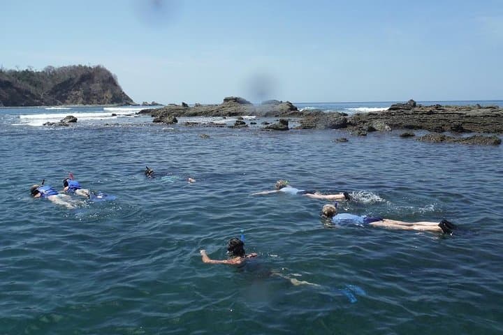 Dolphin Snorkeling Trip from Sámara: Isla Chora & Pacific Wildlife photo 5