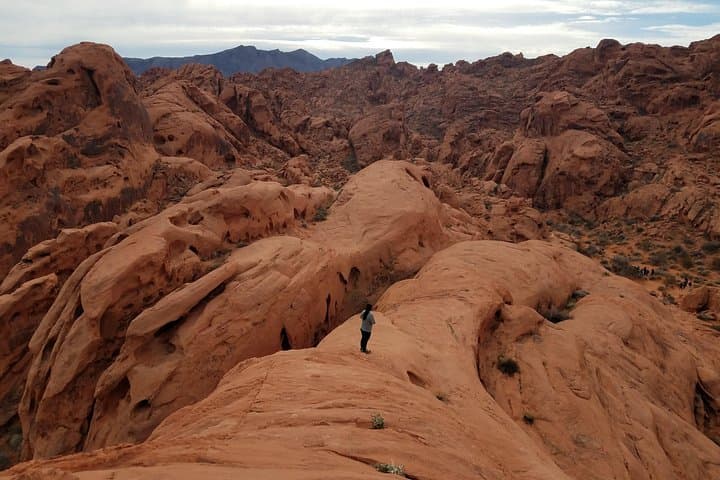 Valley of Fire State Park Day Hike from Las Vegas — Red Rock Trails & Petroglyphs photo 4