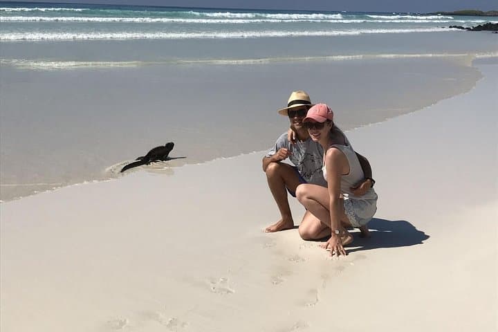 12-Day Galapagos Expedition: Island-Hopping to Kicker Rock, Tortoises & Tintoreras photo 2