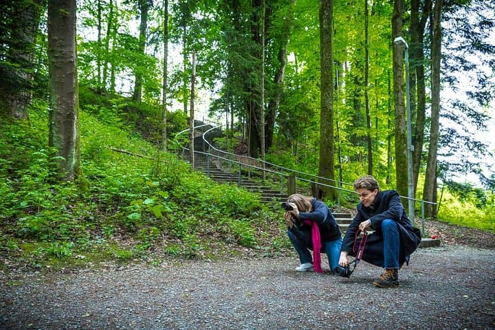 Essential Lucerne Photography Tour — Capture Chapel Bridge & Alpine Views photo 5