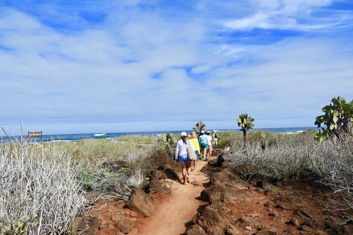 6-Day Galapagos Superior Adventure: San Cristóbal & Santa Cruz Wildlife Expedition photo 6