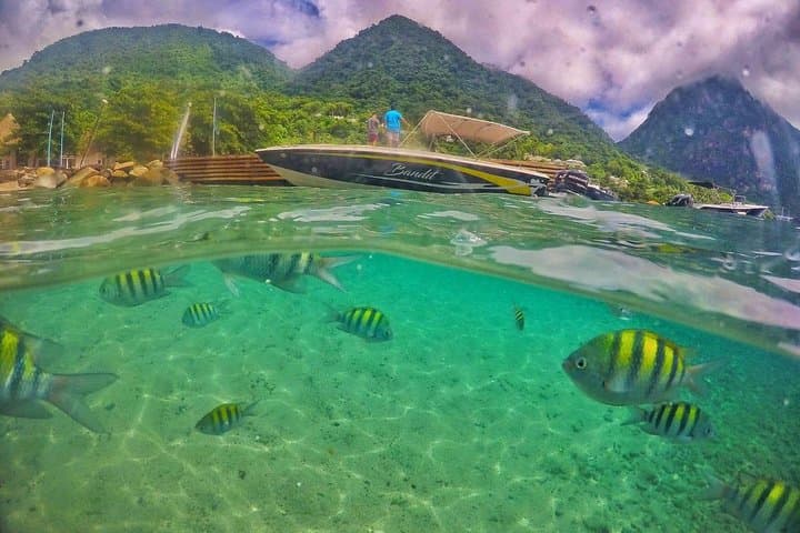 Private Half-Day Coastal Cruise Along St. Lucia's West Coast photo 6