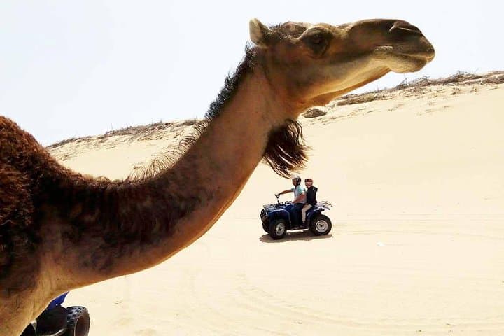 Essaouira Quad Bike on the Beach — 1-Hour Diabat ATV Ride