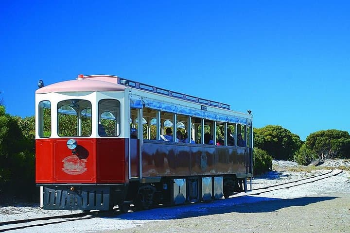Rottnest Island Grand Tour: Train Ride, Quokkas, Lighthouse & Lunch photo 2