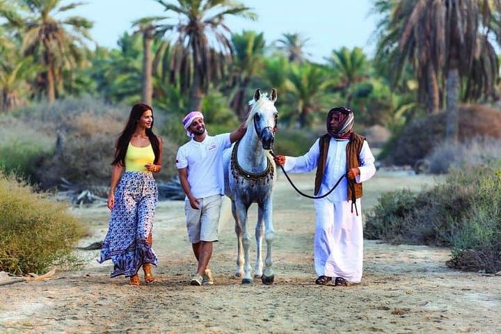 Sunrise Arabian Horse Ride at Bahrain Fort & Karbabad Beach