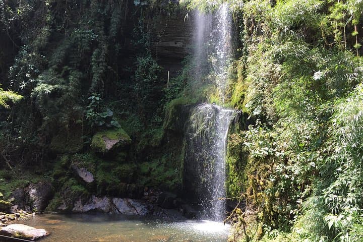 Hike La Chorrera Waterfall from Bogotá: Colombia's Highest Cascade & Fog‑Forest Trek photo 3