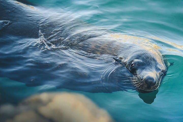 Land's End Adventure: Arch, Beaches & Glass-Bottom Boat in Cabo San Lucas photo 5