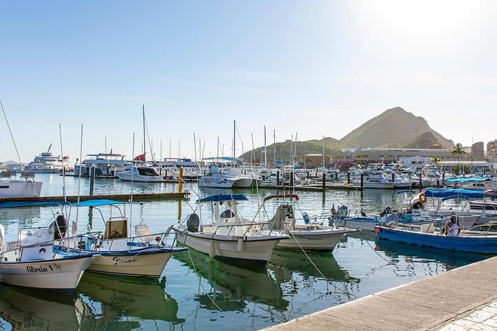 Land's End Adventure: Arch, Beaches & Glass-Bottom Boat in Cabo San Lucas photo 6