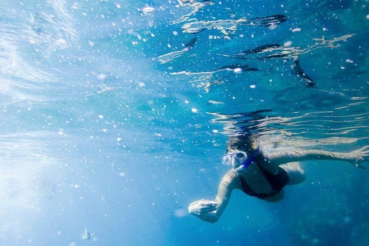 Cabo San Lucas Glass-Bottom Boat & Pelican Rock Snorkel Tour photo 3