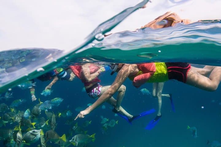 Cabo San Lucas Glass-Bottom Boat & Pelican Rock Snorkel Tour photo 2