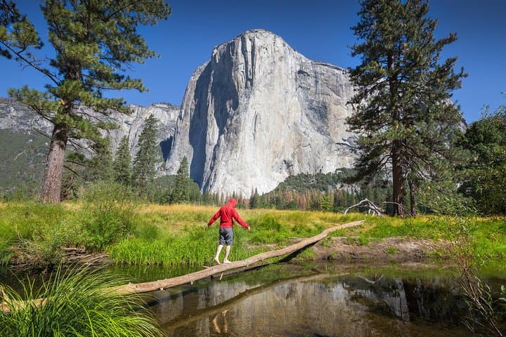 Yosemite & Giant Sequoias: 2-Day Semi-Guided Tour from San Francisco photo 4