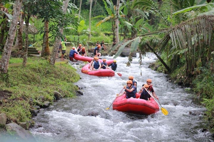 Whitewater Rafting on the Ayung River & Ubud Cultural Tour