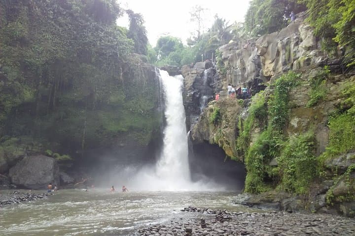 Whitewater Rafting on the Ayung River & Ubud Cultural Tour photo 4