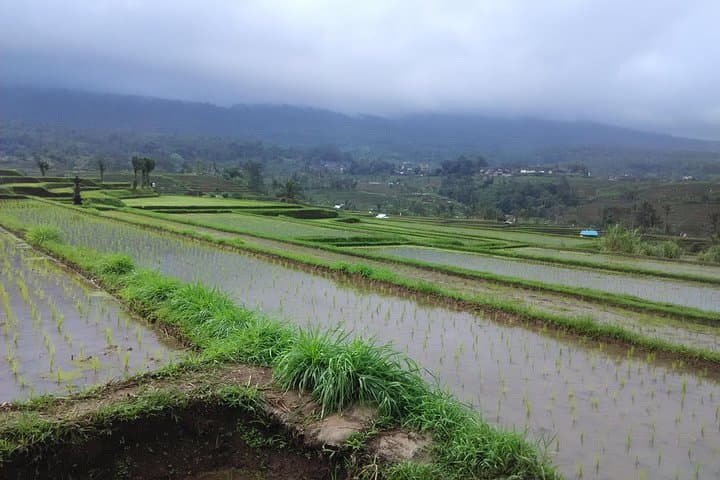 Whitewater Rafting on the Ayung River & Ubud Cultural Tour photo 6