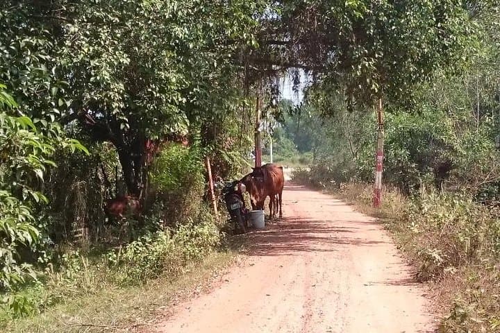 Cycle Saigon River to Cu Chi Tunnels: Single-Track Ride Through Binh Duong Villages photo 3
