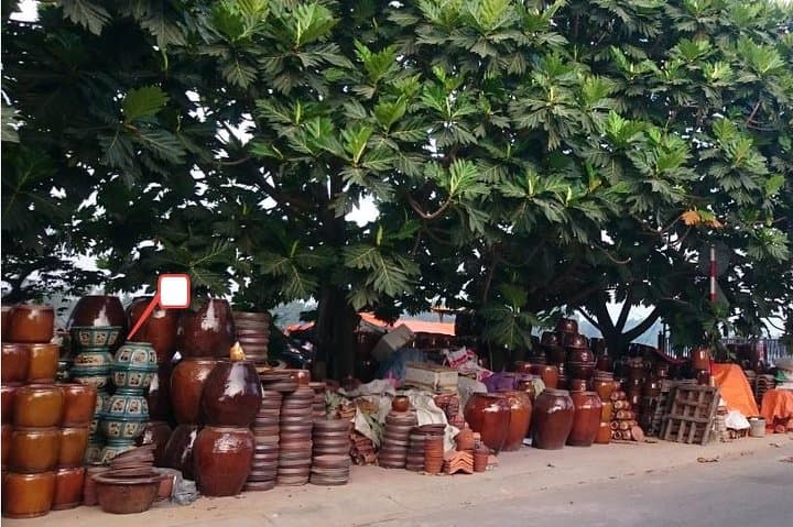 Cycle Saigon River to Cu Chi Tunnels: Single-Track Ride Through Binh Duong Villages photo 4