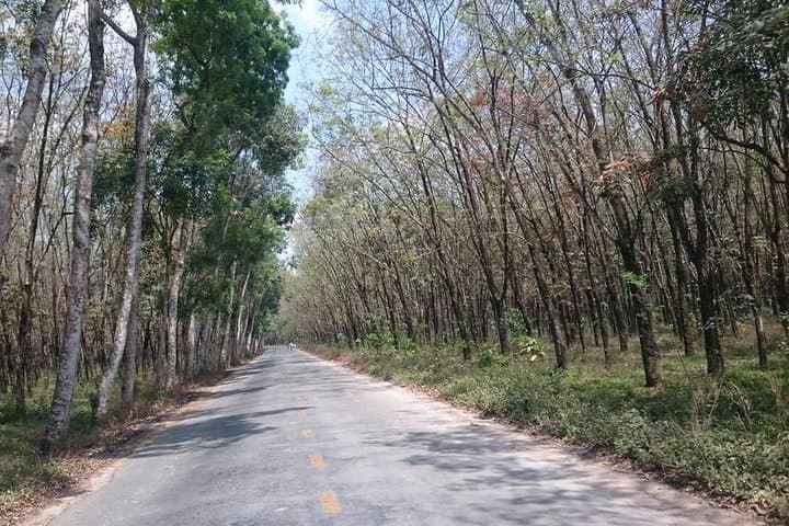 Cycle Saigon River to Cu Chi Tunnels: Single-Track Ride Through Binh Duong Villages photo 5