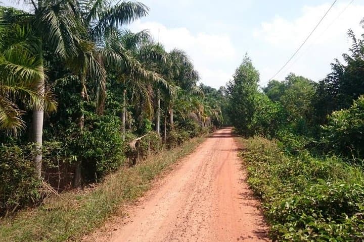 Cycle Saigon River to Cu Chi Tunnels: Single-Track Ride Through Binh Duong Villages photo 6