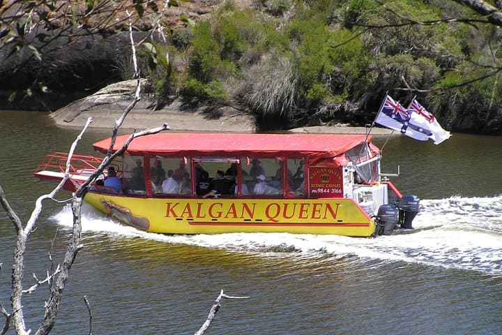 Kalgan Queen Scenic Cruise: Oyster Harbour Wildlife & Kalgan River History