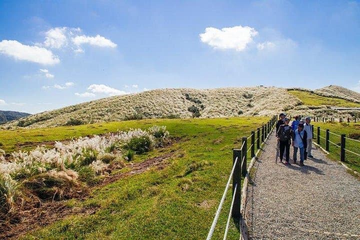 Yangmingshan Half-Day Hike and Veggie Cuisine: Volcanoes, Fumaroles & Grassland Views photo 1