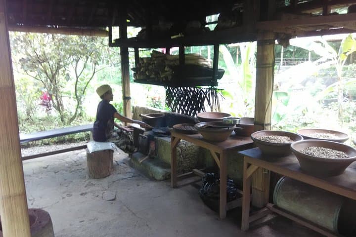 Unveiling Bali's Beauty: A Sunrise Trek and Ubud Exploration photo 6