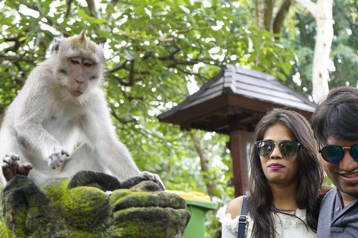 Full-Day Ubud Cooking Class and Cultural Tour: Market, Rice Fields & Monkey Forest photo 6