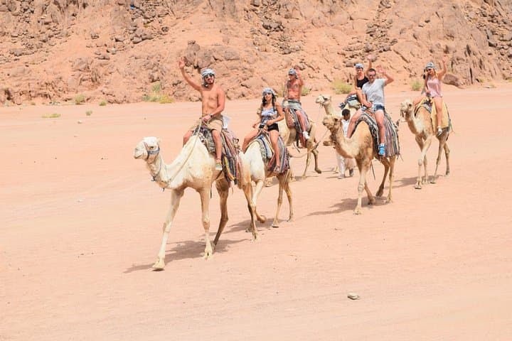 Sharm El Sheikh Desert Adventure: Quad Biking, Bedouin Camp & Stargazing photo 4