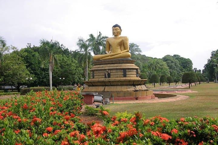Colombo Wetland Tour: Shore Excursion to Diyawanna Lake & City Highlights photo 5
