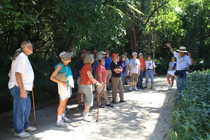 Exploring the Copalita Pyramids: Huatulco's Coastal Archaeological Site photo 3