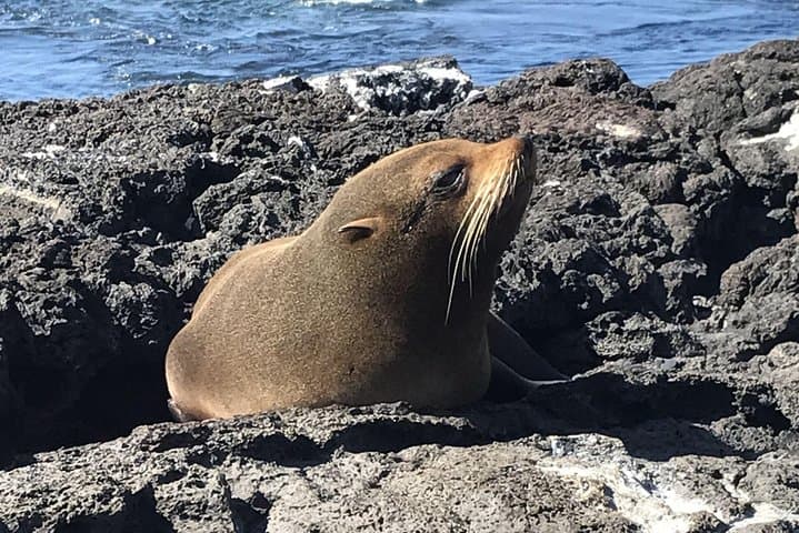 6-Day Galapagos Superior Adventure: San Cristóbal & Santa Cruz Wildlife Expedition photo 3
