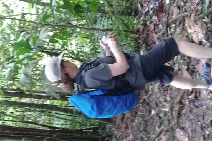 St. Lucia Rainforest Parrot Hike and Waterfall Swim photo 5